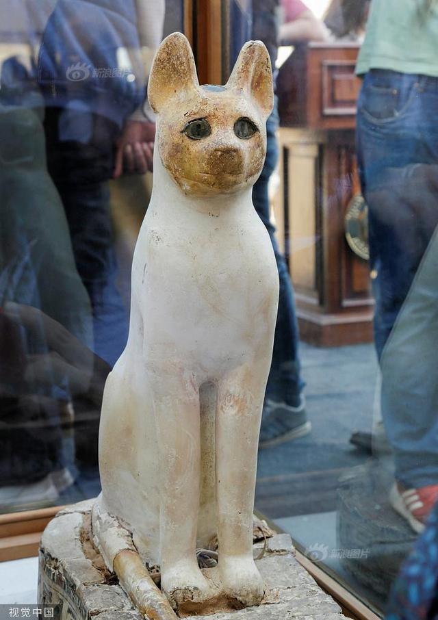 [中国青年网]文物萌萌哒！埃及出土数只猫咪雕像
