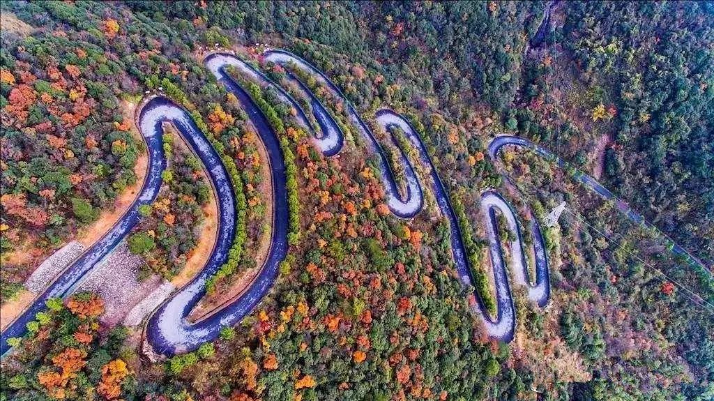 這是一條自駕車主最愛的車道,全是盤山路,兩車道,道兩旁一面陡坡,一面