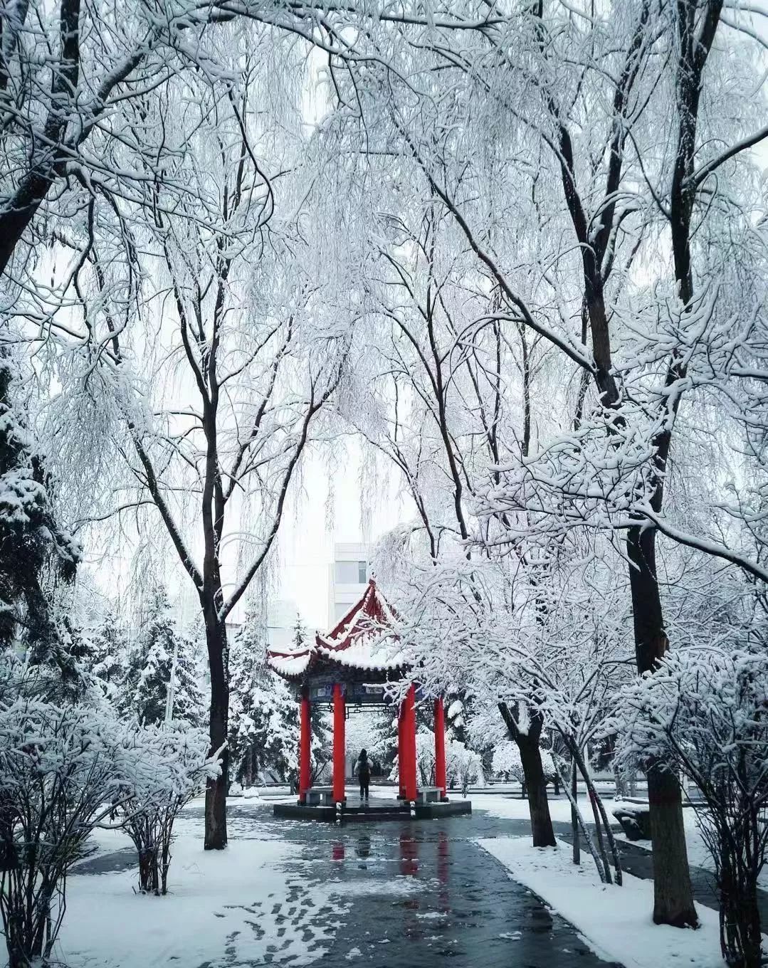 「中国教育报」美爆了！26张初冬校园风景大片来袭，惊艳到你了没？ | 特别关注