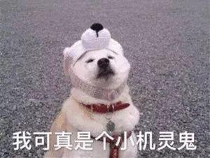 【光明网】我想跟你谈恋爱，你却用我炖酸菜