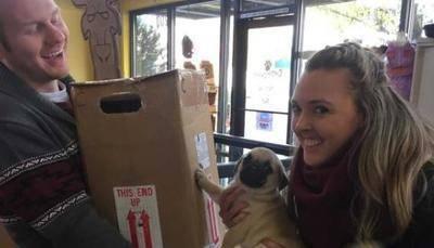 光明网：夫妻带着“胚胎”去旅行，产下三胞胎