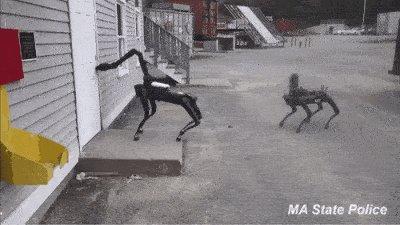 「澎湃新闻」机器人武器化来临？美国警方带波士顿动力机器狗出警