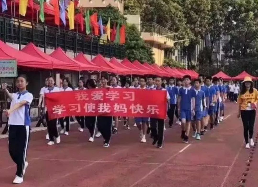 中国网■『2019.11.26』轻松早茶