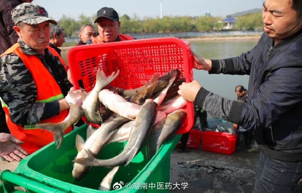 人民日报■【荐读】又是别人家！这所高校捞3000斤鱼给学生加餐