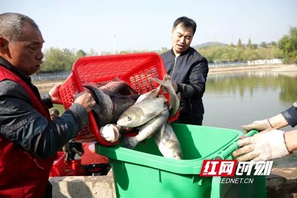 人民日报■【荐读】又是别人家！这所高校捞3000斤鱼给学生加餐