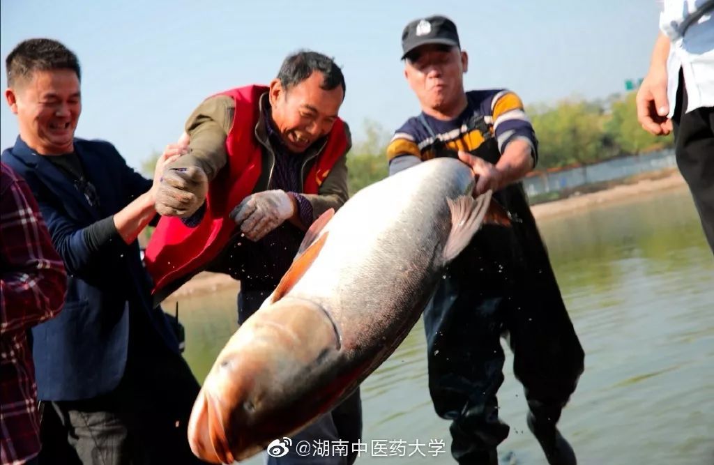 人民日报■【荐读】又是别人家！这所高校捞3000斤鱼给学生加餐