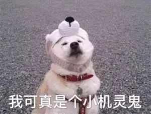 「平安北京」我想跟你谈恋爱，你却用我炖酸菜！