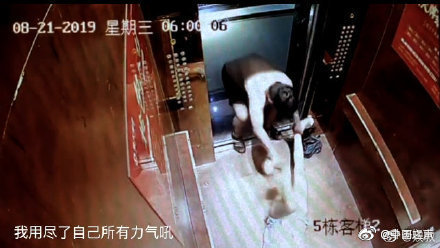 央广网@知名博主被家暴引众怒 男方：骂我的人都不得好死