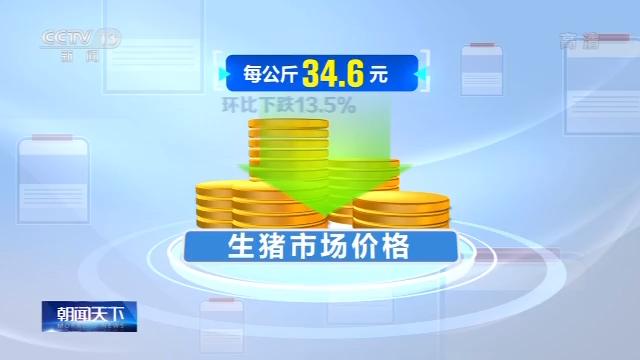 「中国经济网」国家统计局：11月中旬生猪市场价环比跌13.5%