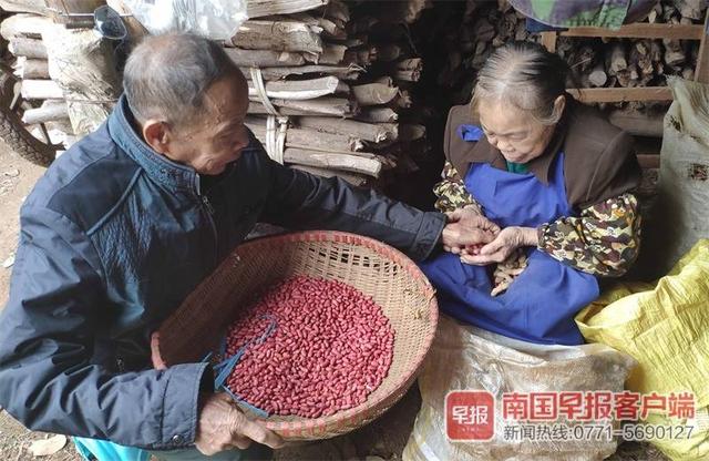 「中国青年网」感人！地震发生时，75的哥哥冲回家救73岁失明妹妹