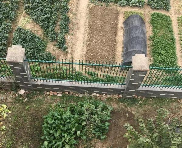 「光明网」工资比工友少！那我拿你个“苹果”