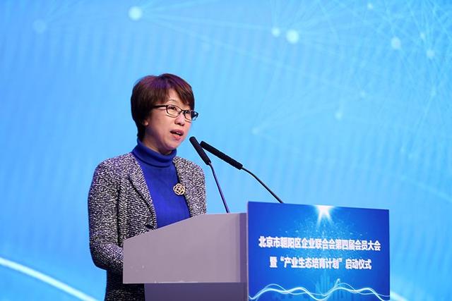 朝阳区企业联合会发布"产业生态培育计划"
