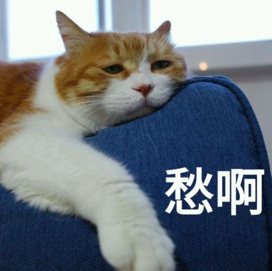 英国一飞机正要起飞,机长却突然宣布辞职