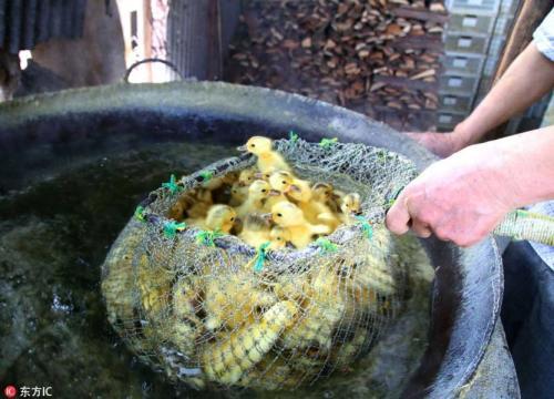 海外网：1127早报｜人民日报：靠区块链发横财？你想多了