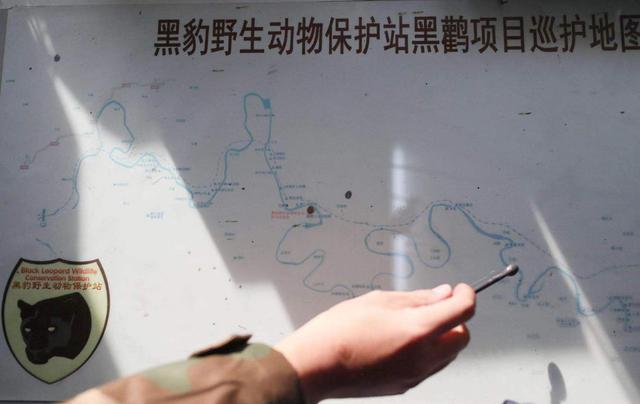 「北京日报客户端」致敬，守护候鸟的北京爷们儿！李理和他的小伙伴们在行动