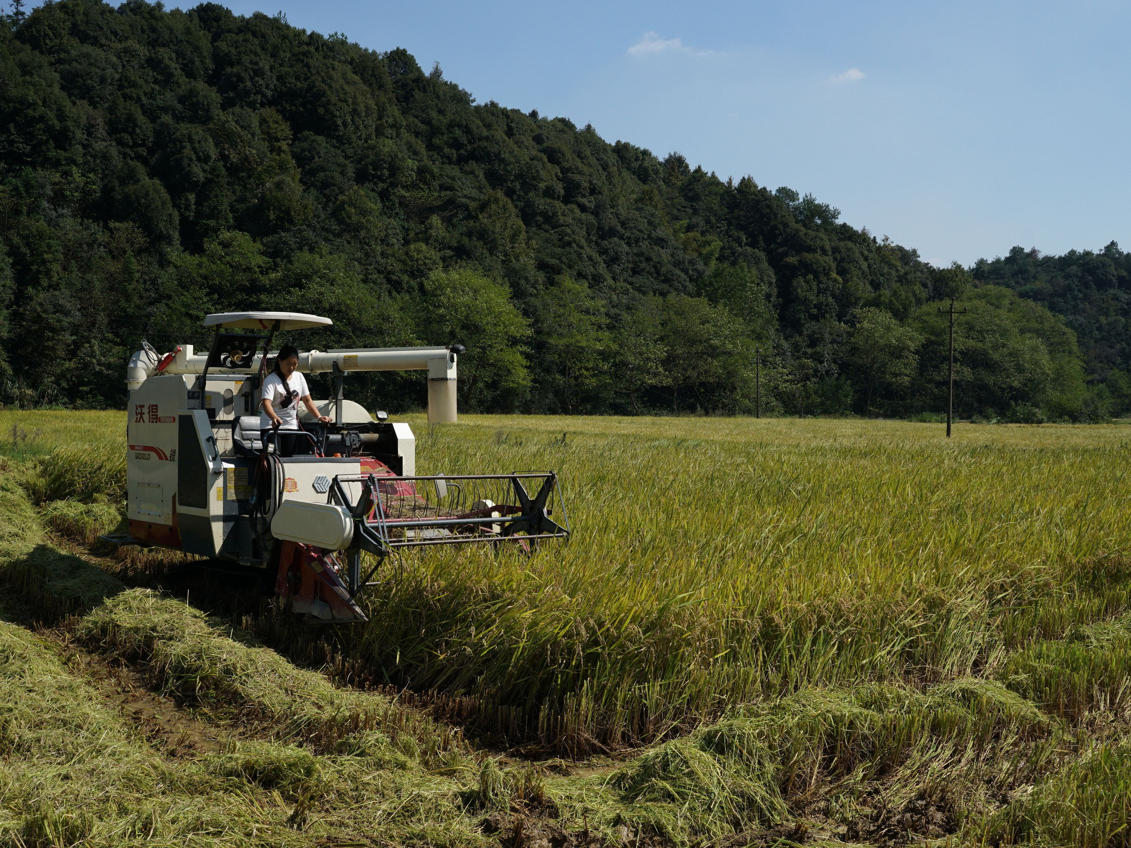 「每日经济新闻」精准测量11亿个地块，确权登记发证率超94%……农业农村部解读土地承包“确实权、颁铁证”