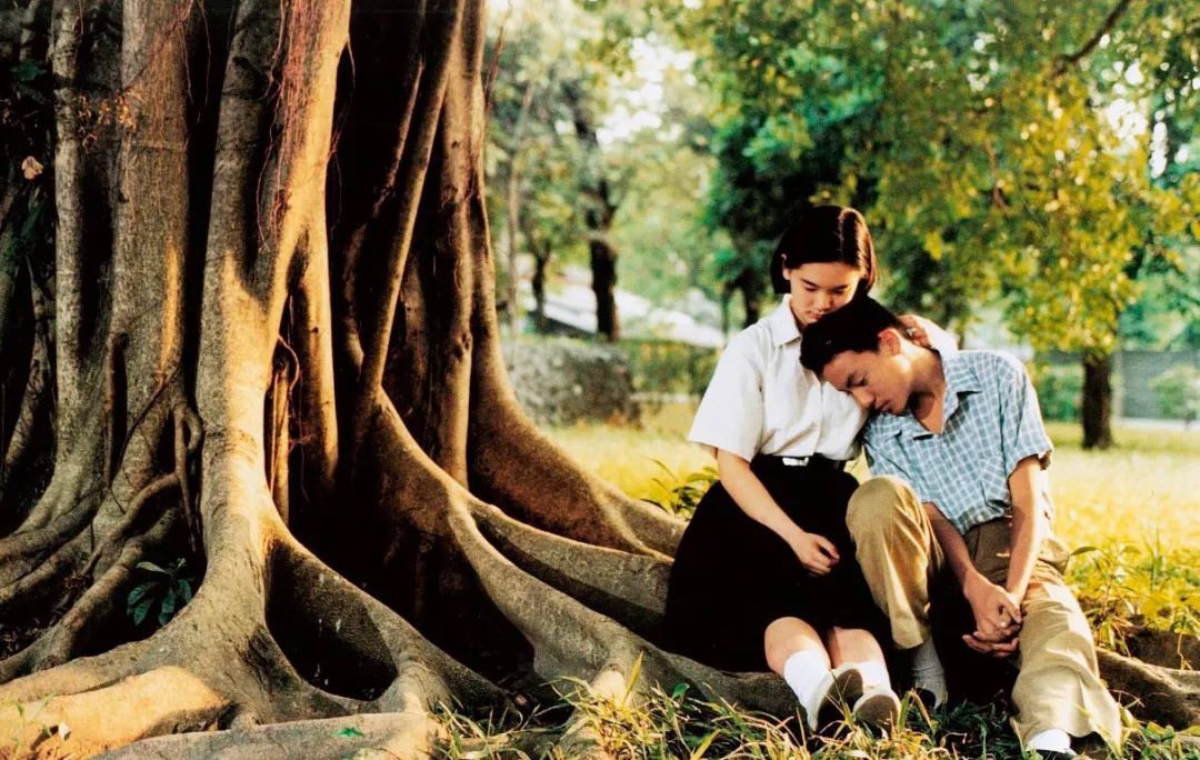 【三联生活周刊】少年的“恶”，究竟从何而来？