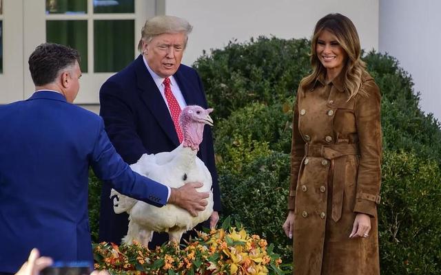 [新京报]“花样百出”的感恩节，特朗普今年也有了新动作