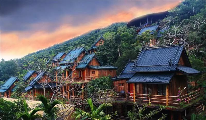 百年槟榔林   你也可以走近正在消失的黎族传统建筑   ——船形