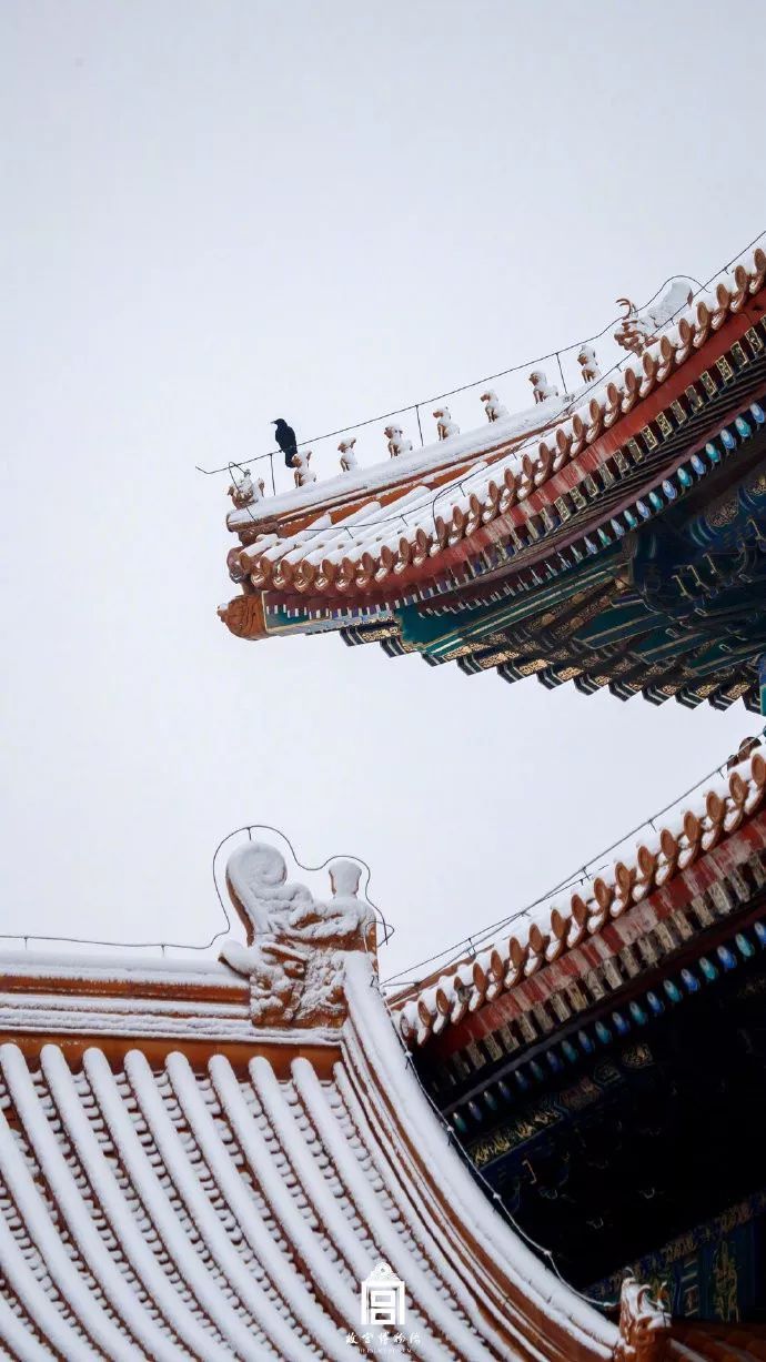 「新华网」每一张雪景照，都美得可以当屏保！