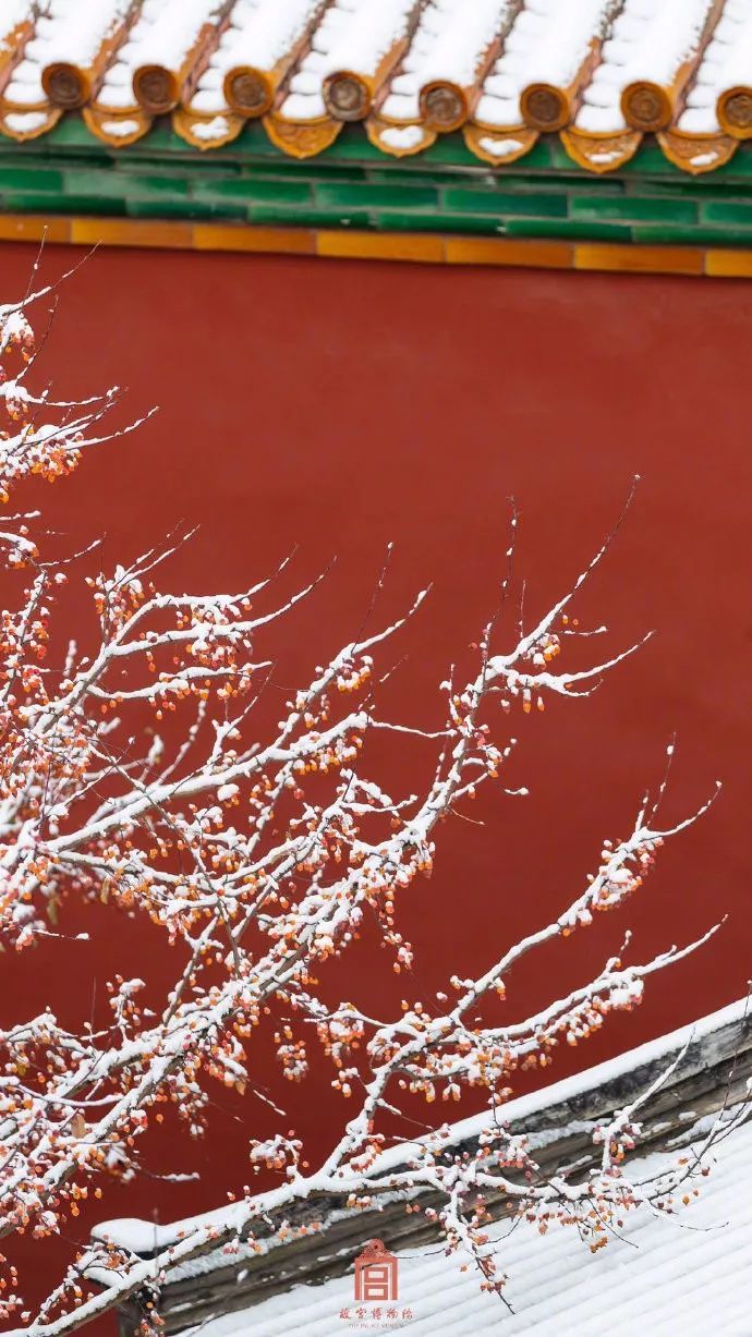 「新华网」每一张雪景照，都美得可以当屏保！