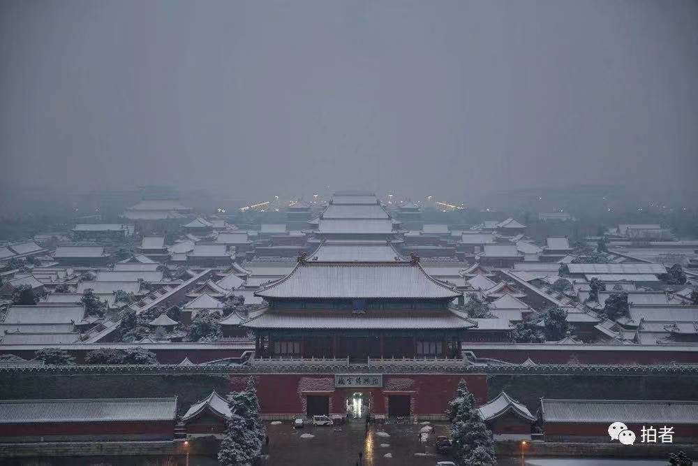 新京报@一下雪北京变成了北平 故宫变成了“动物园”