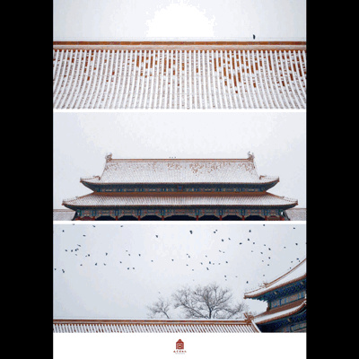 新京报@一下雪北京变成了北平 故宫变成了“动物园”