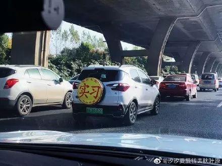 光明网■这么“嚣张”的新手司机，你见过吗……据说见过的都已笑晕