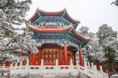 「海外网」雪后景山拍故宫 今天的北京变身童话世界