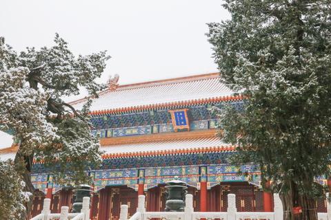 「海外网」雪后景山拍故宫 今天的北京变身童话世界