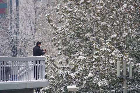 「海外网」雪后景山拍故宫 今天的北京变身童话世界