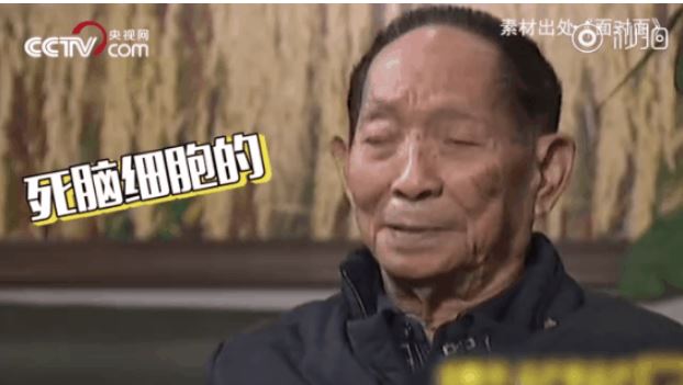 文汇报：90后“梗王”又上线！袁隆平：我有“十个螺”……