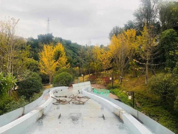 「光明网」最新进展！塔沱片区景观连接工程有望明年春节前投入使用