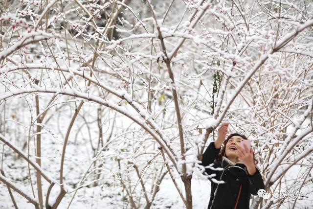 中国青年网：再看一眼 北京初雪