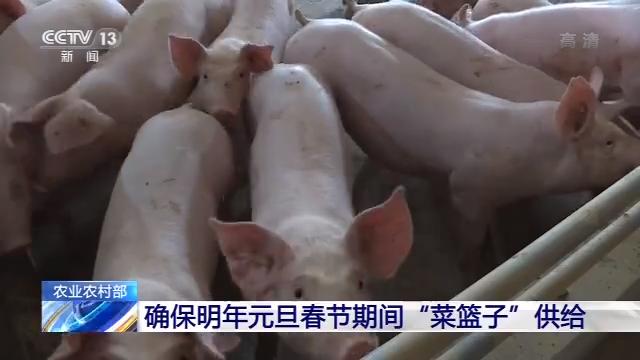 国际在线■元旦春节囤起来 过冬“菜篮子”有保障
