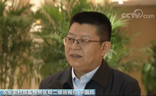 [中国网]我国加强六方面举措力促生猪生产恢复
