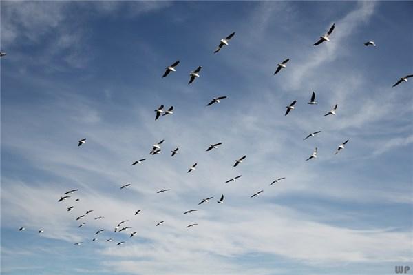 【光明网】汗水的力量不会骗人，坚定信念方得始终，努力改变你的人生