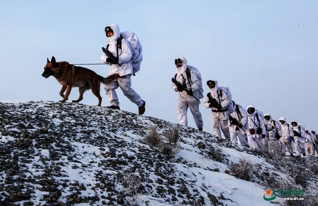 边防战士 雪地图片