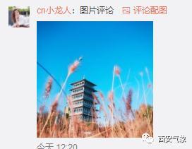 #光明网#浅冬晴日暖意生 温差仍大防寒凉