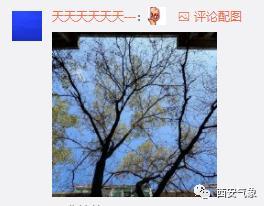 #光明网#浅冬晴日暖意生 温差仍大防寒凉
