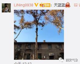 #光明网#浅冬晴日暖意生 温差仍大防寒凉