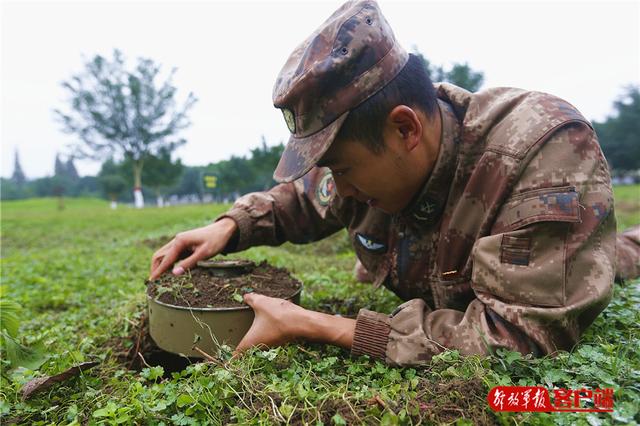中国军网■士兵“升级”，都需要过哪几关？看完你就知道
