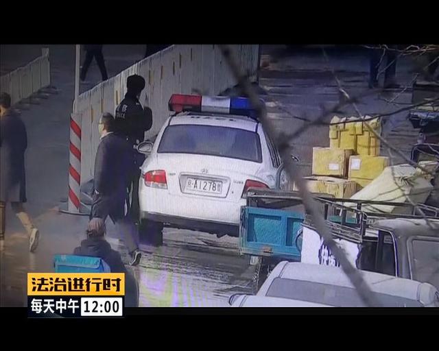 #中国青年网#北京街头惊现“仙鹤”，司机纷纷避让，已得到民警救助