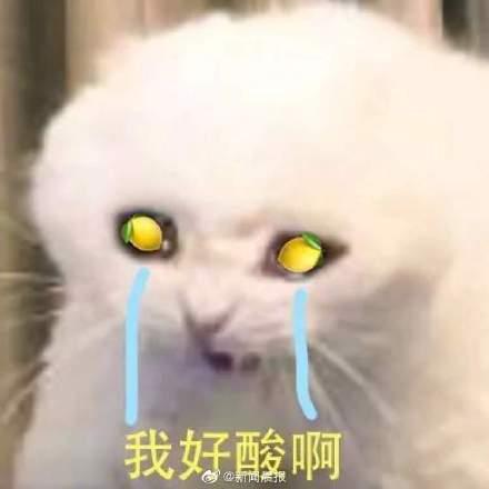 #光明网#2019年十大流行语出炉！我太难了、柠檬精等入选，这些词你是否也常挂嘴边？