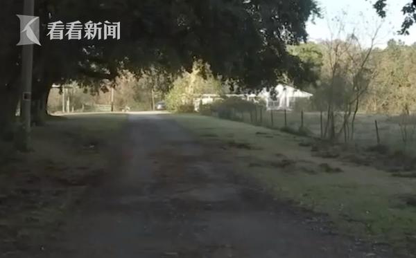 中国经济网：女子家门口遭数头野猪袭击死亡 全身都是咬伤