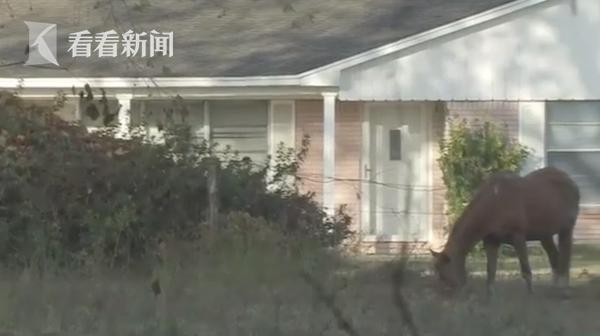 中国经济网：女子家门口遭数头野猪袭击死亡 全身都是咬伤