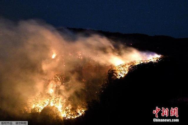 环球网：失控山火迅速蔓延 澳大利亚新州多地发布禁火令