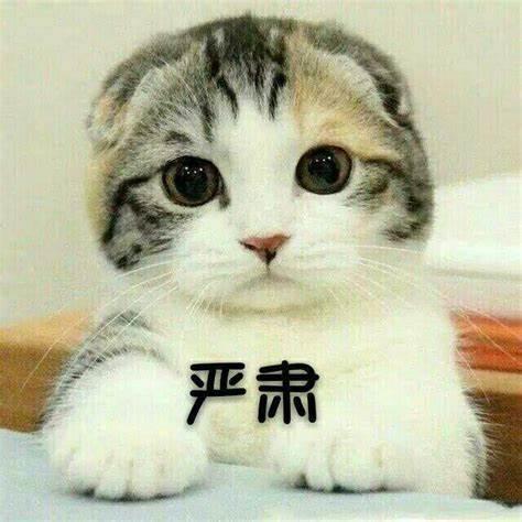 「新京报」用暗号“花式”售烟？外卖的“马甲”该被扒下来了
