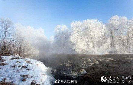 光明网@库尔滨雾凇上演现实版冰雪奇缘