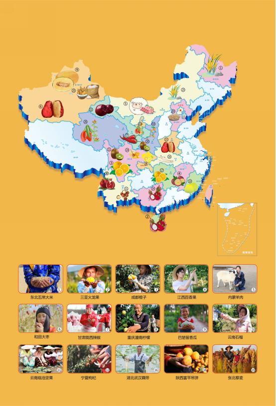 「中国青年网」订单农业让水果供应链更短：阿里在家门口的种草莓，这口新鲜不隔夜